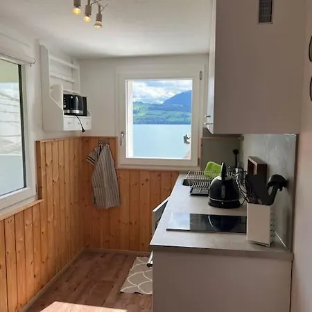 Apartment Bijou Loft - Charming Loft On Thun Near Interlaken Merligen